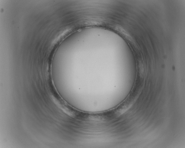 X0000071960490200607282037