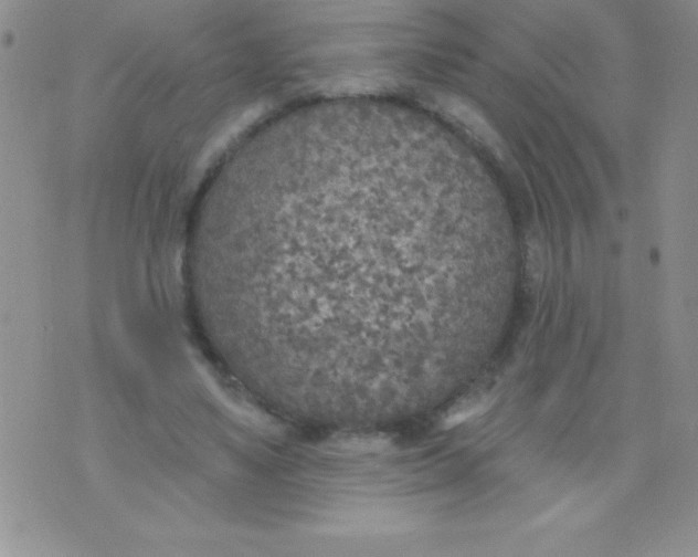 X0000071960491200607282037