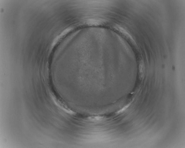 X0000071960492200607282037