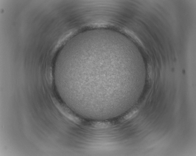 X0000071960494200607282037