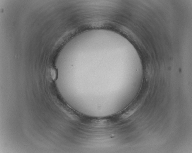 X0000071960497200607282037