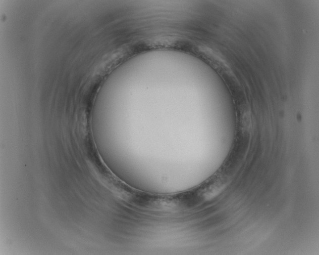 X0000071960498200607282037