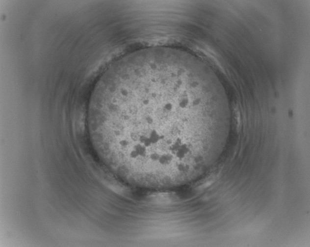 X0000071960499200607282037