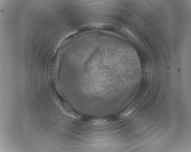 X0000071960500200607282037