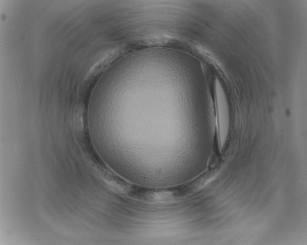 X0000071960501200607282037