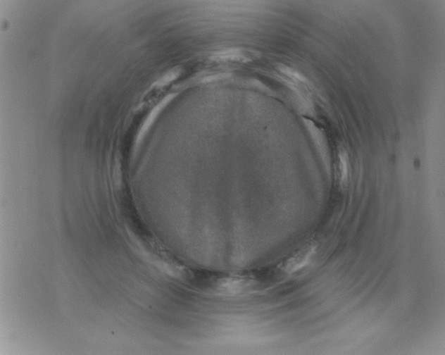 X0000071960504200607282037