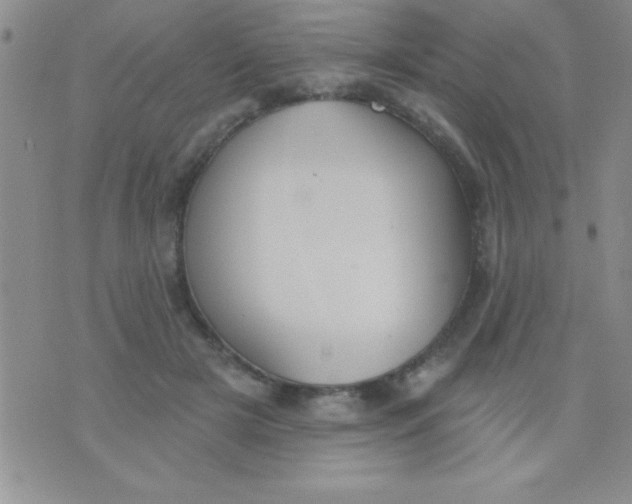 X0000071960505200607282036