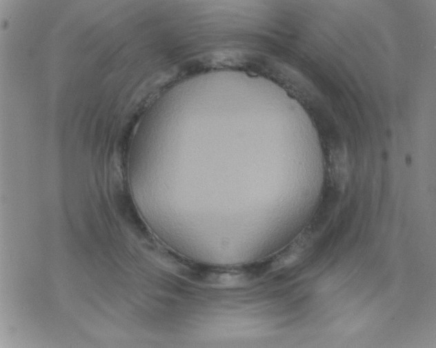 X0000071960506200607282036