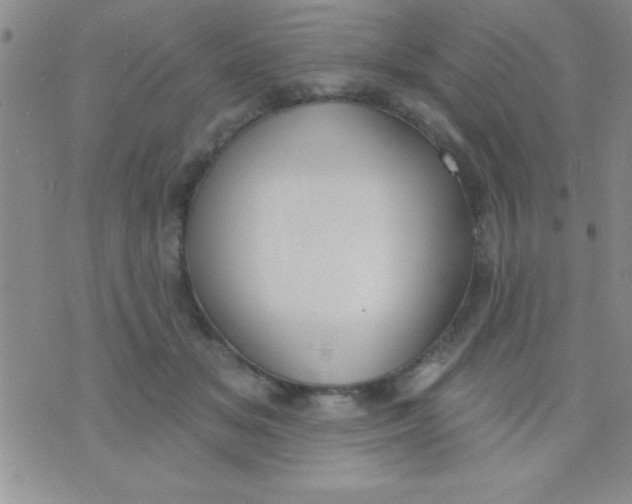 X0000071960509200607282036