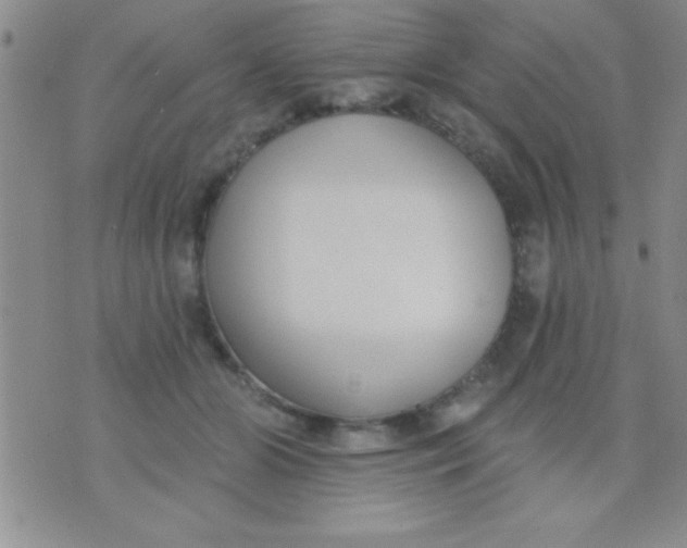 X0000071960510200607282036