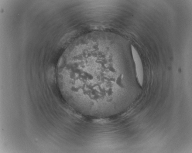 X0000071960511200607282036