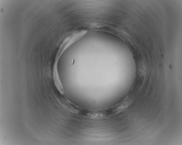 X0000071960512200607282036