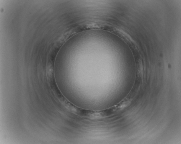 X0000071960513200607282036