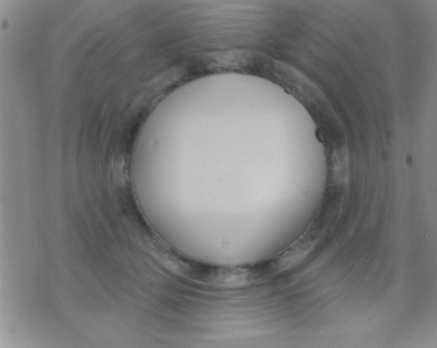 X0000071960514200607282036