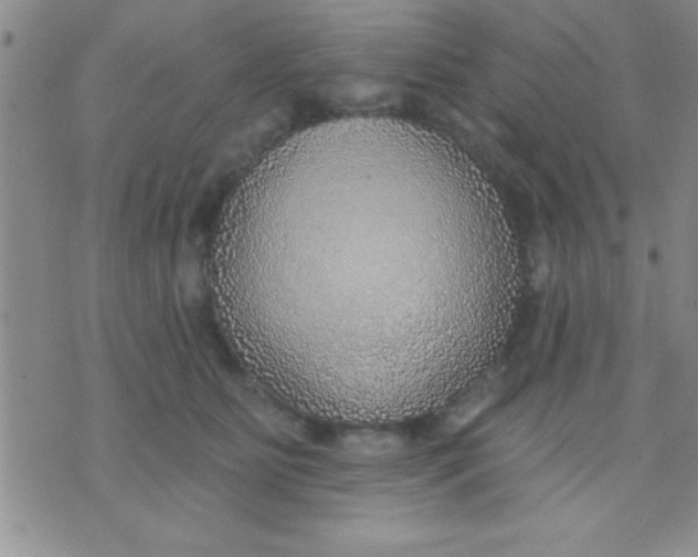 X0000071960515200607282036