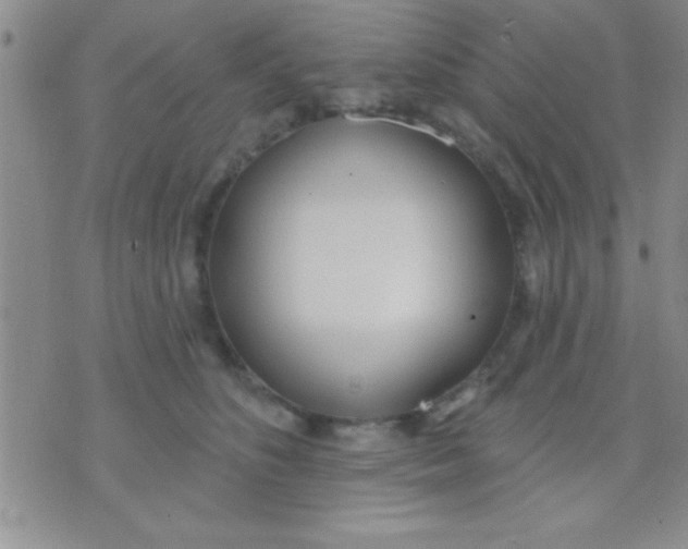 X0000071960516200607282036