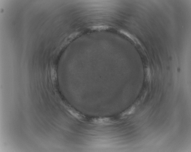 X0000071960517200607282036