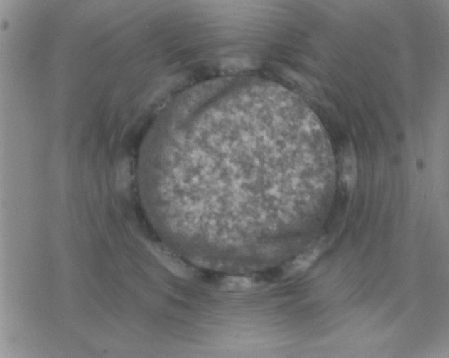 X0000071960519200607282036