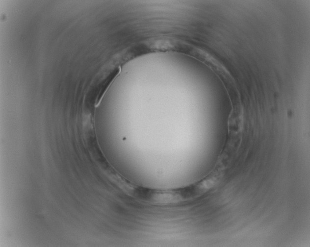 X0000071960521200607282036