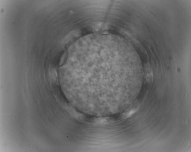 X0000071960523200607282036