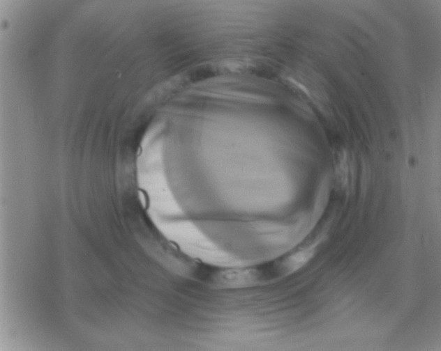 X0000071960526200607282036