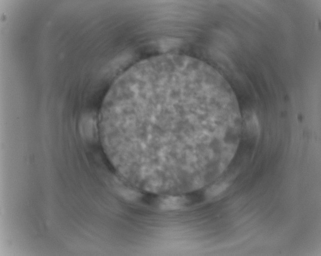 X0000071960527200607282036