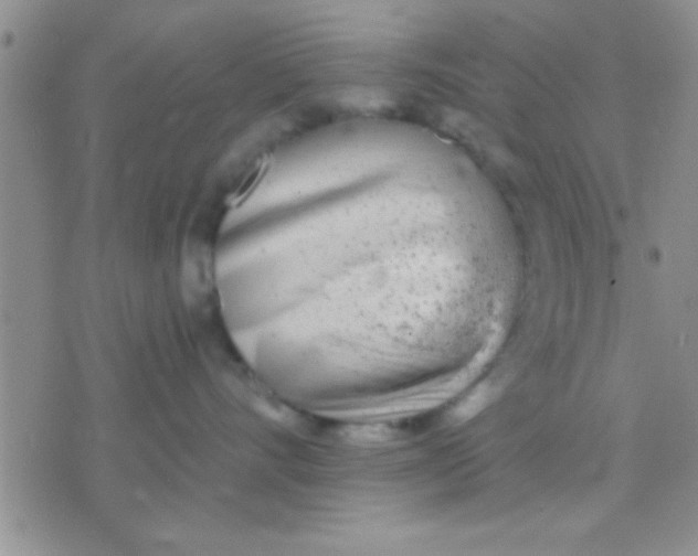 X0000071960528200607282036