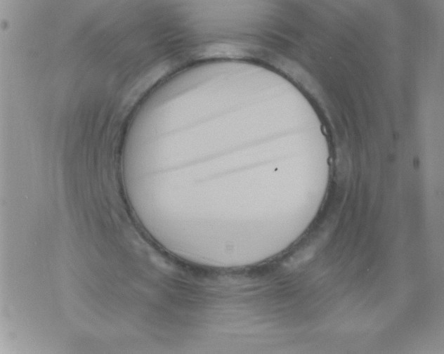 X0000071960529200607282035