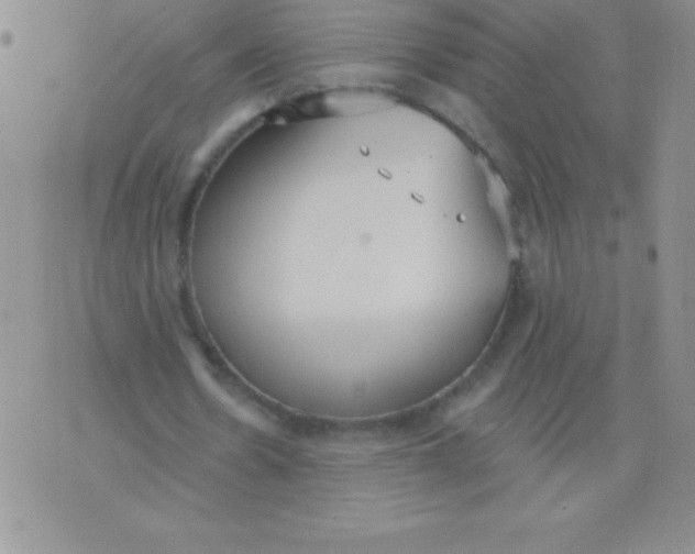 X0000071960530200607282035