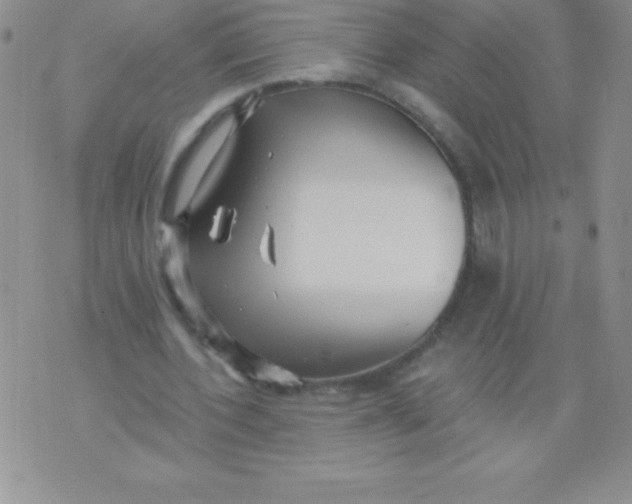 X0000071960532200607282035