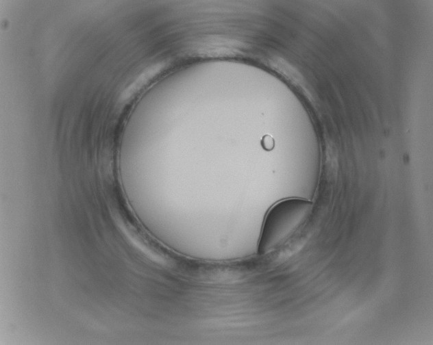 X0000071960533200607282035