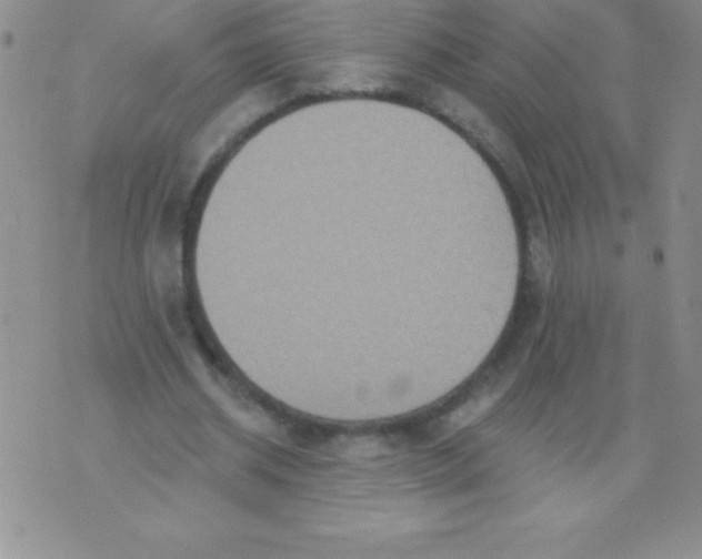 X0000071960534200607282035