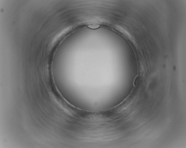 X0000071960535200607282035