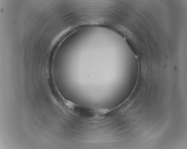 X0000071960536200607282035