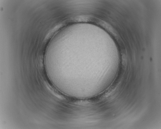 X0000071960537200607282035