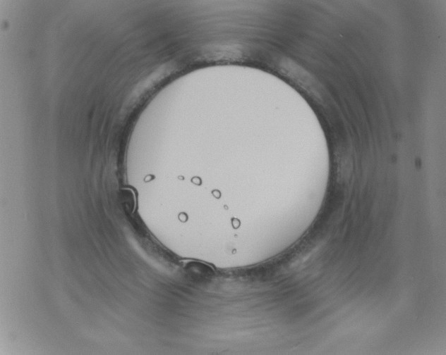 X0000071960538200607282035