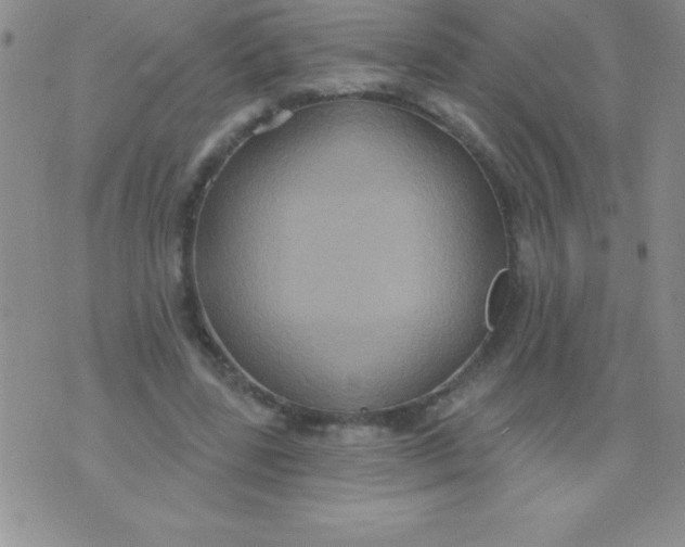 X0000071960539200607282035