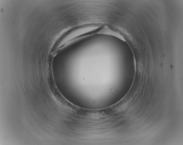 X0000071960540200607282036