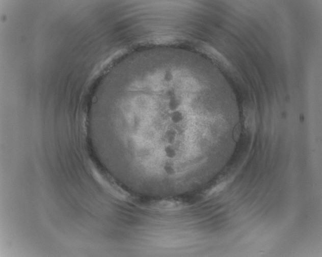 X0000071960542200607282036