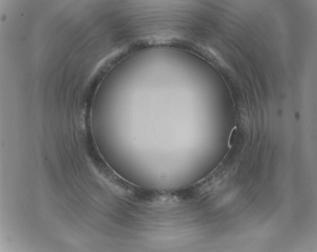 X0000071960543200607282036