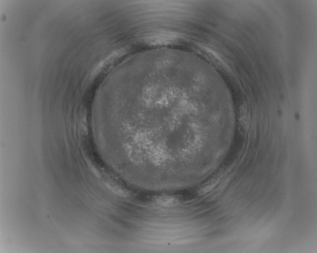 X0000071960547200607282036