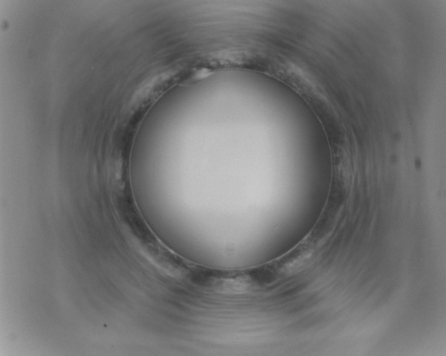 X0000071960548200607282036