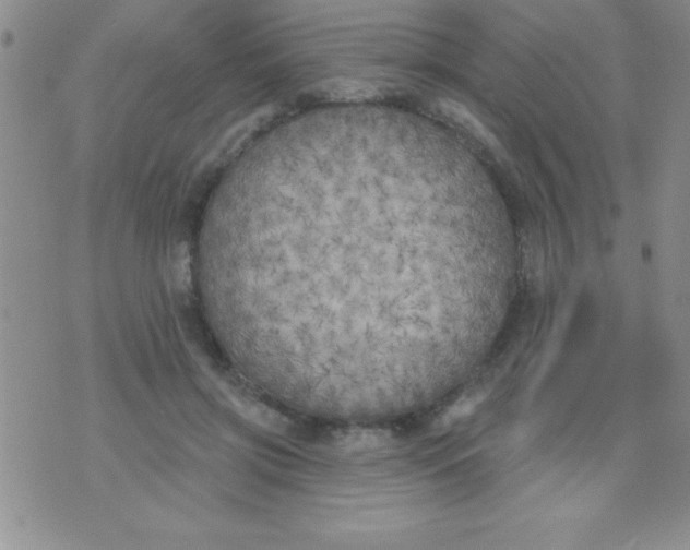 X0000071960549200607282036