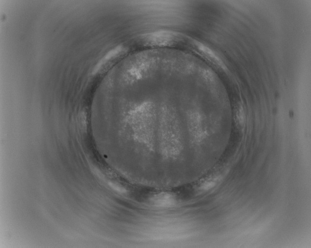 X0000071960551200607282036