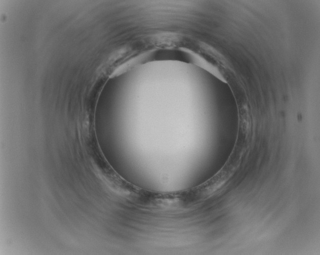 X0000071960552200607282036