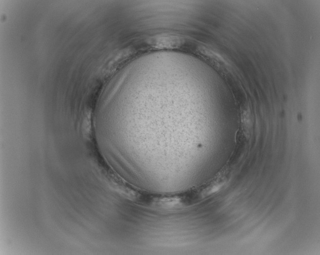 X0000071960554200607282036