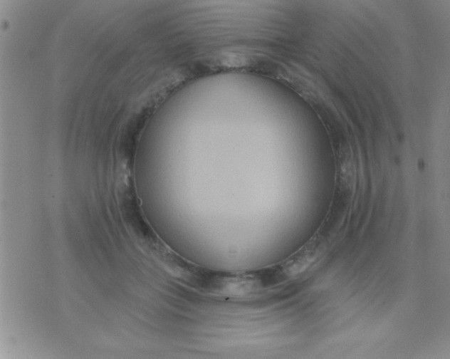 X0000071960555200607282036