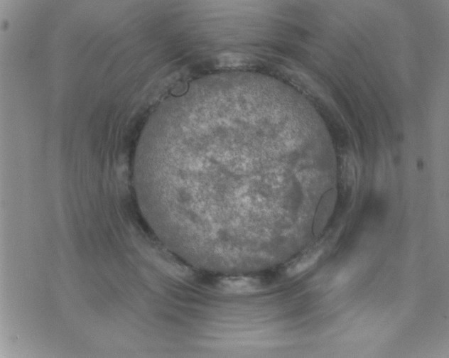 X0000071960557200607282036