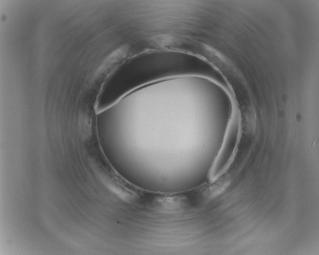 X0000071960558200607282036