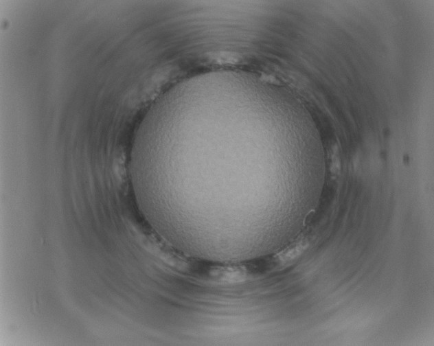 X0000071960559200607282036